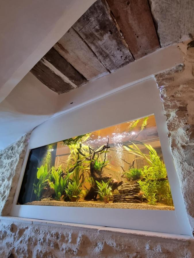 Maison Au Centre Du Village De Gordes Avec Vue Incroyable Bagian luar foto